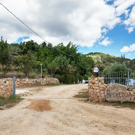 Oasi Di Pace Con Piscina - Piperedda Agroturismo